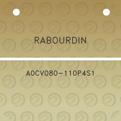 rabourdin-a0cv080-110p4s1