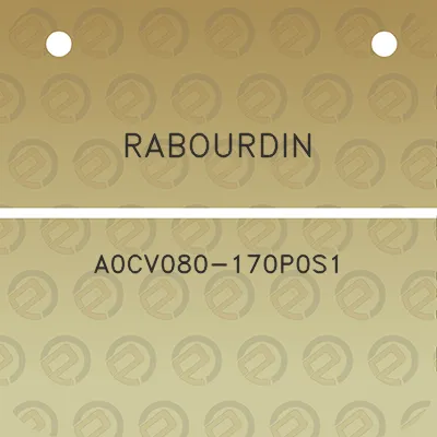 rabourdin-a0cv080-170p0s1