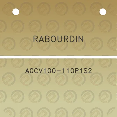 rabourdin-a0cv100-110p1s2