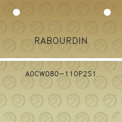 rabourdin-a0cw080-110p2s1