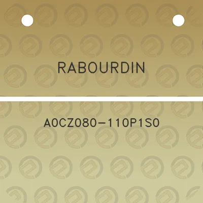 rabourdin-a0cz080-110p1s0