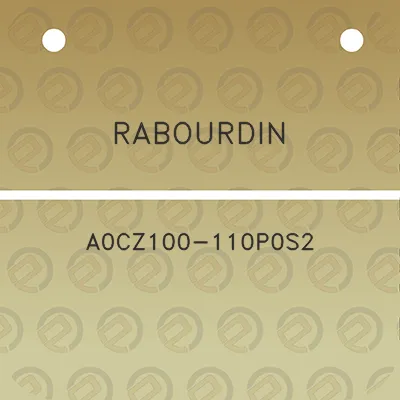 rabourdin-a0cz100-110p0s2