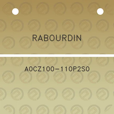 rabourdin-a0cz100-110p2s0