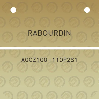 rabourdin-a0cz100-110p2s1