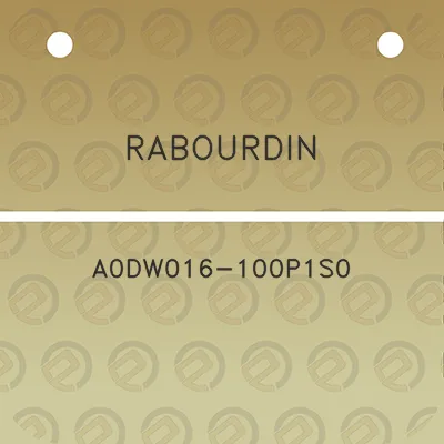 rabourdin-a0dw016-100p1s0