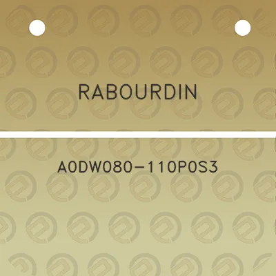 rabourdin-a0dw080-110p0s3