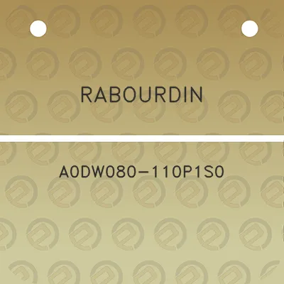 rabourdin-a0dw080-110p1s0