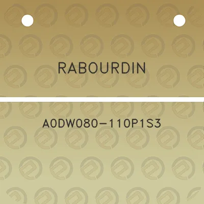 rabourdin-a0dw080-110p1s3