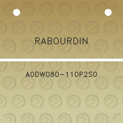 rabourdin-a0dw080-110p2s0