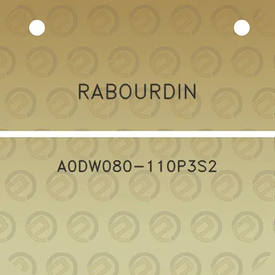 rabourdin-a0dw080-110p3s2