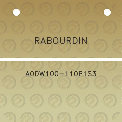 rabourdin-a0dw100-110p1s3