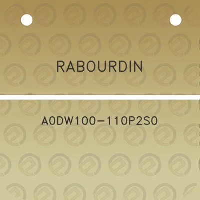 rabourdin-a0dw100-110p2s0