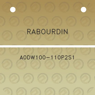 rabourdin-a0dw100-110p2s1