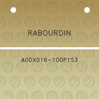 rabourdin-a0dx016-100p1s3