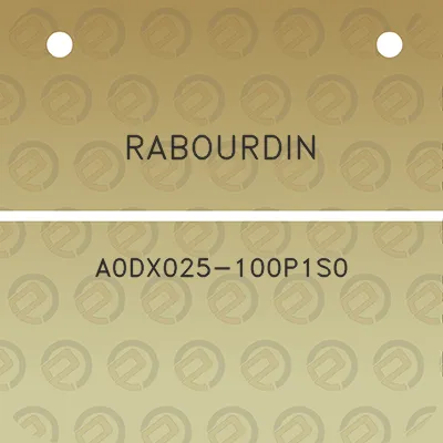 rabourdin-a0dx025-100p1s0