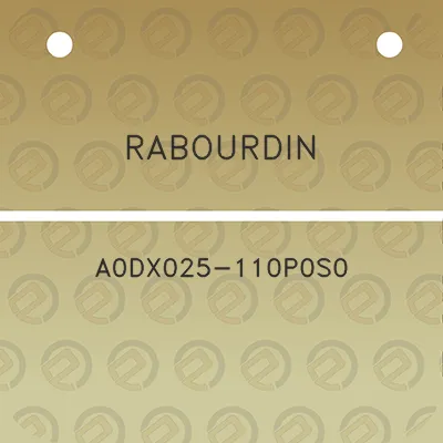 rabourdin-a0dx025-110p0s0