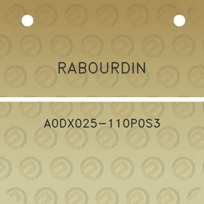 rabourdin-a0dx025-110p0s3