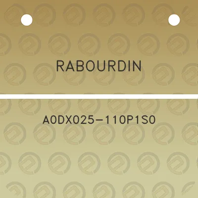 rabourdin-a0dx025-110p1s0