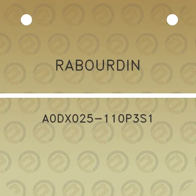 rabourdin-a0dx025-110p3s1