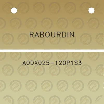 rabourdin-a0dx025-120p1s3