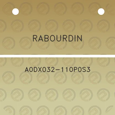 rabourdin-a0dx032-110p0s3