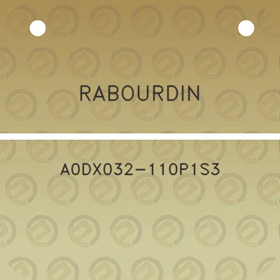 rabourdin-a0dx032-110p1s3