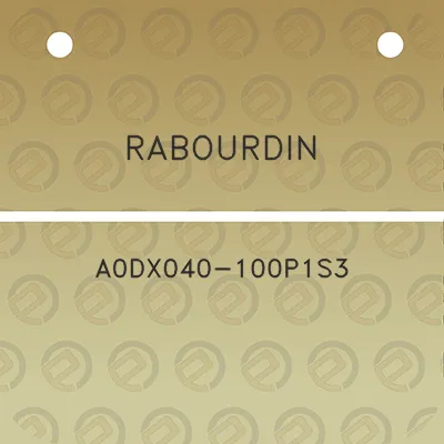 rabourdin-a0dx040-100p1s3