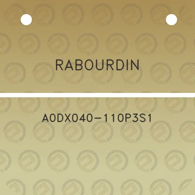 rabourdin-a0dx040-110p3s1