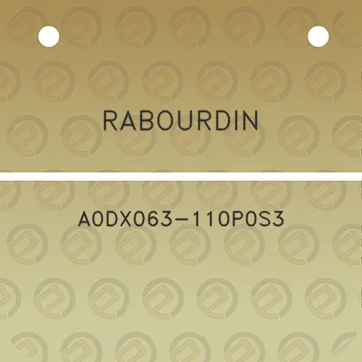 rabourdin-a0dx063-110p0s3