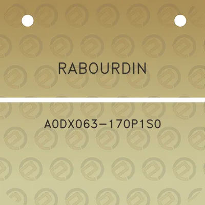 rabourdin-a0dx063-170p1s0