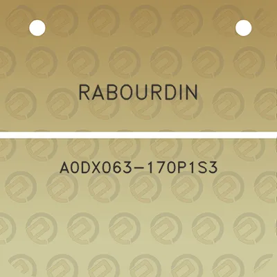 rabourdin-a0dx063-170p1s3