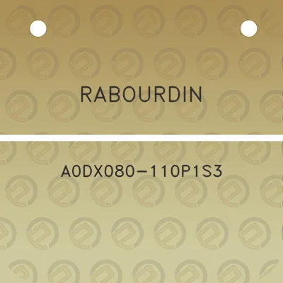 rabourdin-a0dx080-110p1s3