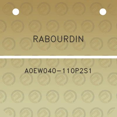 rabourdin-a0ew040-110p2s1