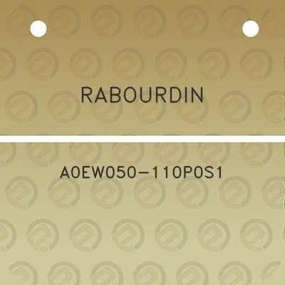 rabourdin-a0ew050-110p0s1