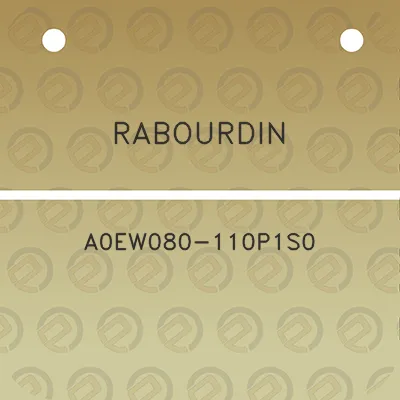 rabourdin-a0ew080-110p1s0