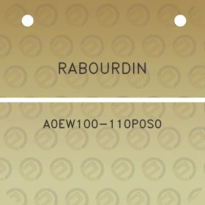 rabourdin-a0ew100-110p0s0