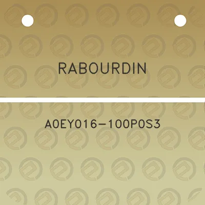 rabourdin-a0ey016-100p0s3