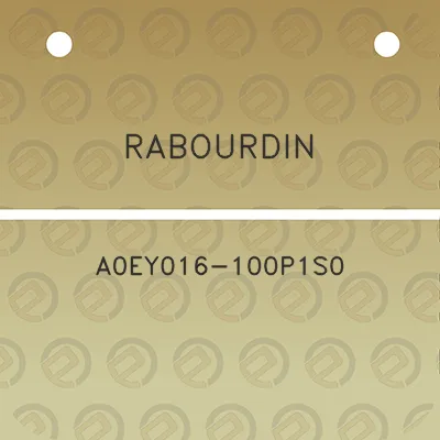 rabourdin-a0ey016-100p1s0