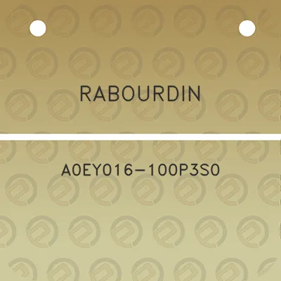 rabourdin-a0ey016-100p3s0