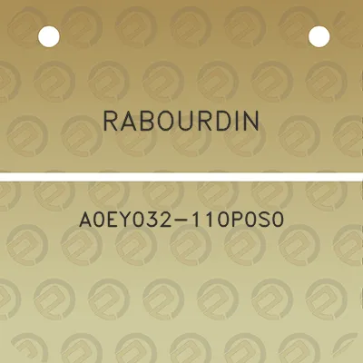 rabourdin-a0ey032-110p0s0