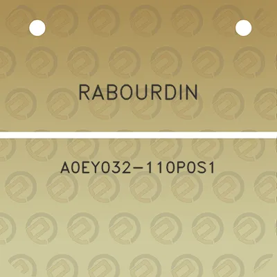 rabourdin-a0ey032-110p0s1