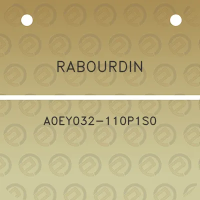 rabourdin-a0ey032-110p1s0