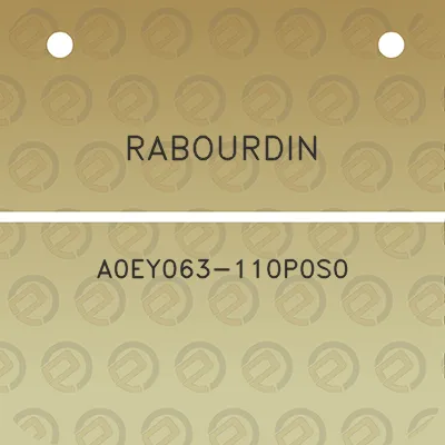 rabourdin-a0ey063-110p0s0