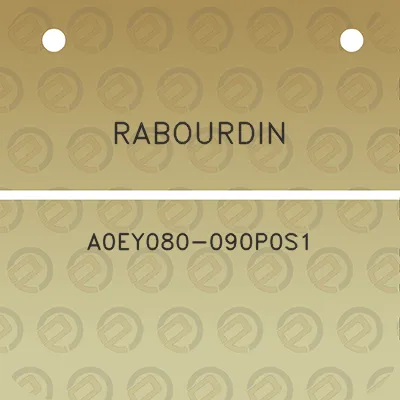 rabourdin-a0ey080-090p0s1