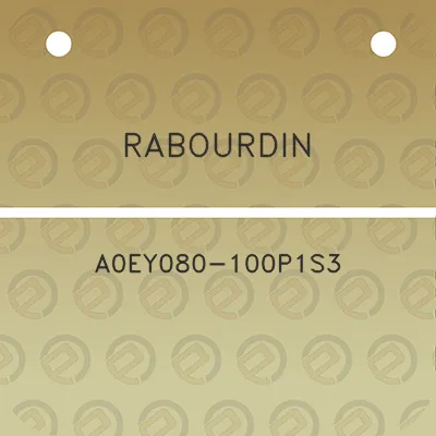 rabourdin-a0ey080-100p1s3