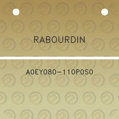 rabourdin-a0ey080-110p0s0