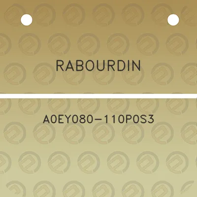 rabourdin-a0ey080-110p0s3