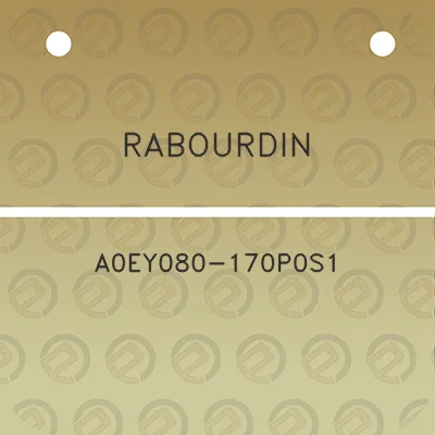 rabourdin-a0ey080-170p0s1