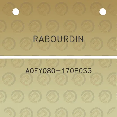 rabourdin-a0ey080-170p0s3