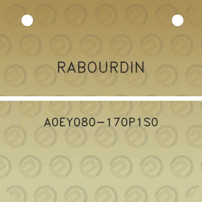 rabourdin-a0ey080-170p1s0